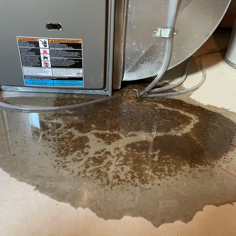 Appliance Leak Cleanup in Chetopa, KS